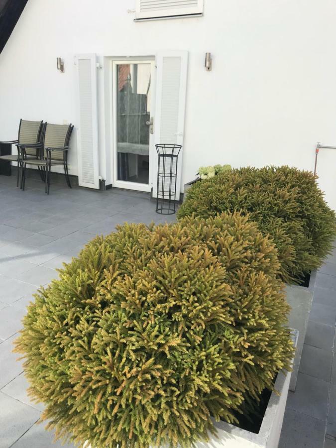 Casa Christina Διαμέρισμα Orschweier Εξωτερικό φωτογραφία